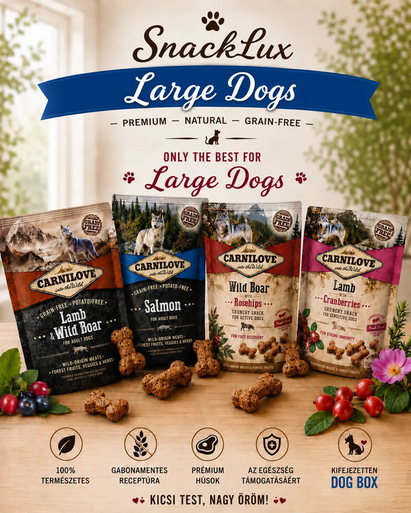 SnackLux Large Dogs Box SnackLux for Pets